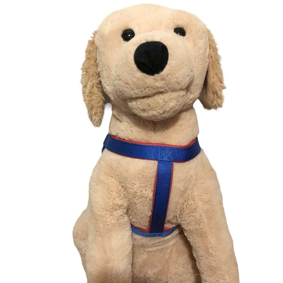 Dog Harness + Leash Set NEW NWT Blue Red Padded - Picture 8 of 13